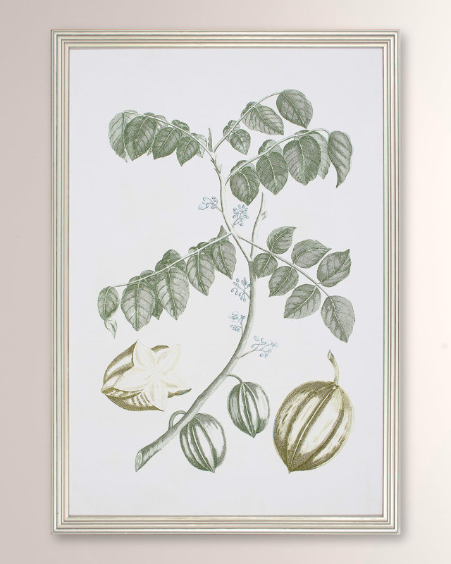 "Buchoz Tropical II" Framed Giclee